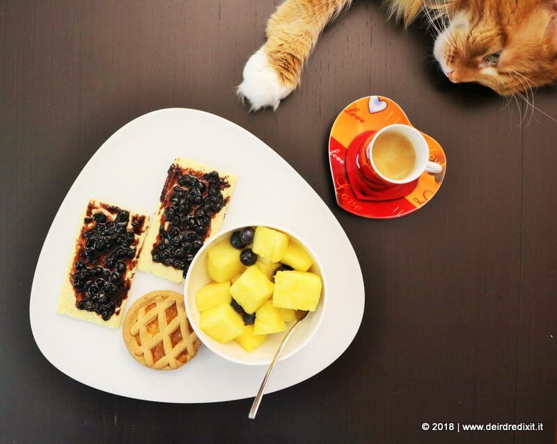 colazione con prodotti giusto giuliani senza glutine