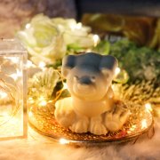 lush natale 2020 polar bear