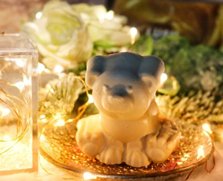 lush natale 2020 polar bear