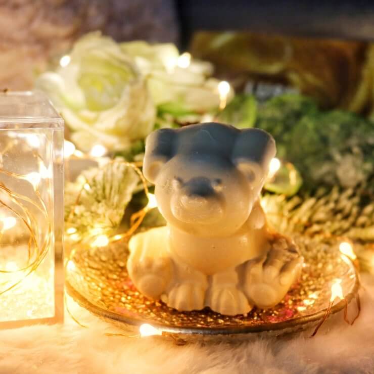 lush natale 2020 polar bear