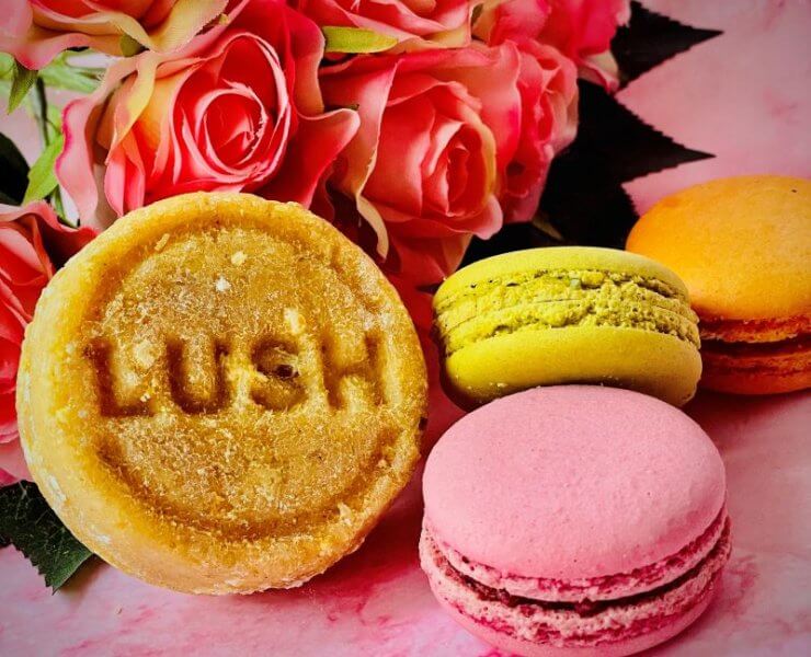 lush montalbano shampoo solido