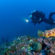 bionike sea for tomorrow 2026
