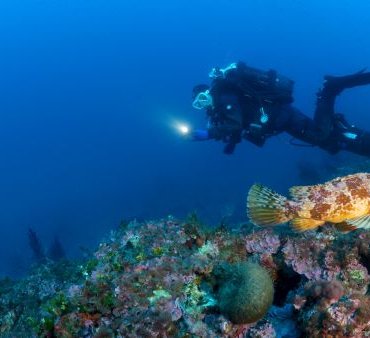 bionike sea for tomorrow 2026