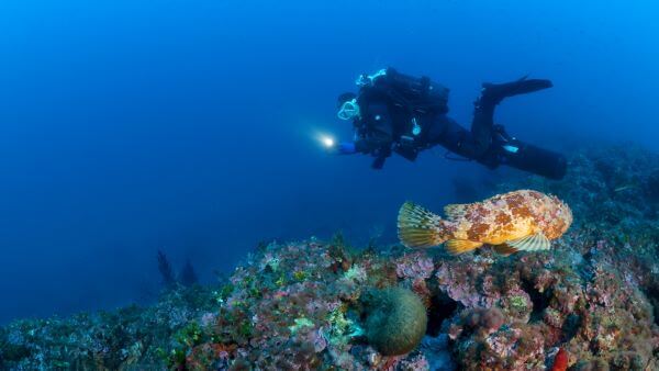 bionike sea for tomorrow 2026
